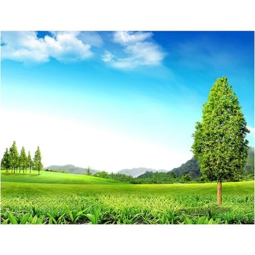 Nature Backdrops Beautiful View Scene Photo Backgrounds Photography Props Non Woven for Photocall Photo Studio Party Decorations