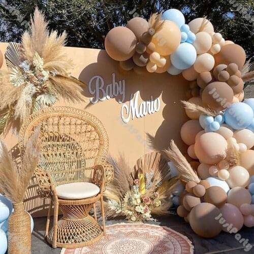 110pcs Doubled Blush Nude Balloon Garland Gender Reveal Decorations Cream Peach Coffee Blue Balloon Arch Party Baby Shower Decor
