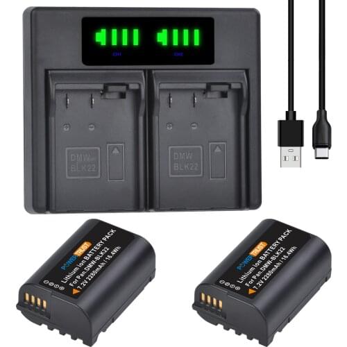 2280mAh 7.2V DMW-BLK22 DMWBLK22 Battery and Dual Charger for Panasonic Lumix DC-S5 DC-S5K Digital Cameras