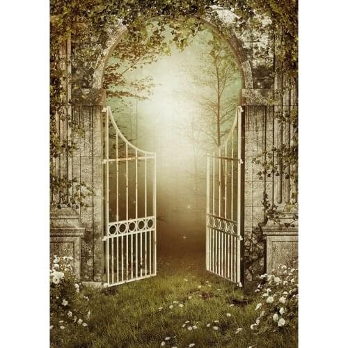 Gothic Style Archy Gate Foggy Forest Photographic Backdrops Halloween Backgrounds for Children Portrait Photophone Photo Studio