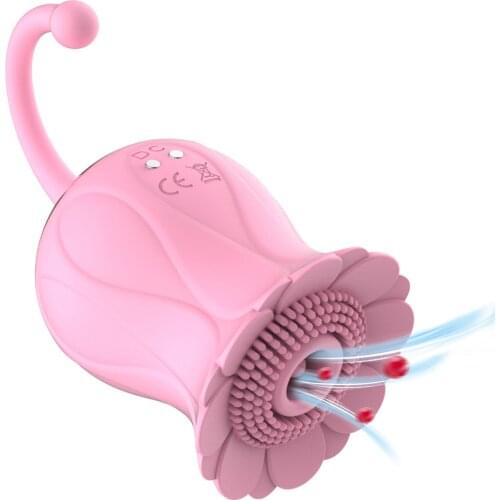 Clitoral Sucking Vibrator Rose Clit Sucker with 10 Patterns Waterproof Rechargeable Nipple Stimulator Oral Sex Toys for Women