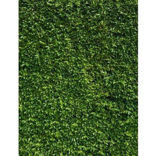 LIFE MAGIC BOX Backdrops Green Plant Baby Photo Backgrounds For Photography Studio S-2400