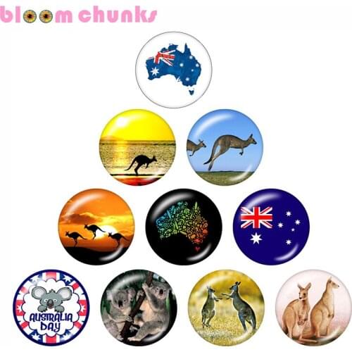 Australia kangaroo 10pcs mixed 12mm/18mm/20mm/25mm Round photo glass cabochon demo flat back Making findings C22738