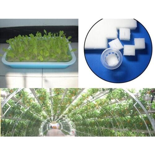 100PCS White Seedling Sponge Soilless Hydroponic Vegetables Nursery Pots Seedlings Cloning Collar Garden Cultivation Plant