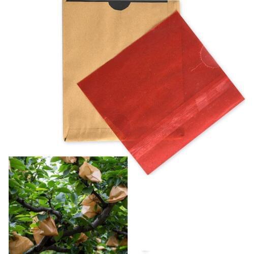 100pcs Fruit Protection Bag Double Layer Waterproof Peach Apple Pear Grow Bags Agriculture Orchard Pest Control Anti-bird