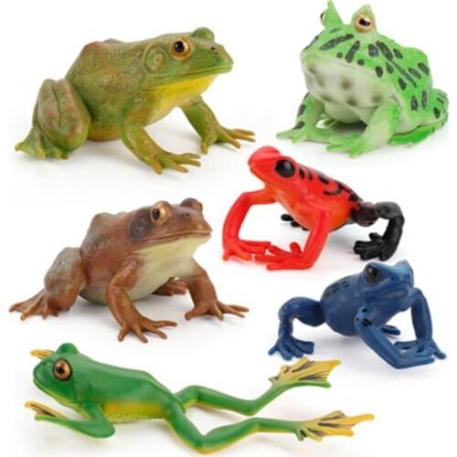 Simulation jungle Rain forest Animal Model Toy Bullfrog Tree frog Plastic Action Figures Educational Toys for Children Kid Gift