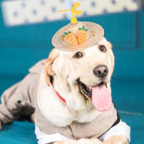 Pet Straw Hat Mini Dog Sombrero Cute Woven Hat Bucket Cap For Dogs Cats Adjustable Pet Accessories Kedi Pet Hair