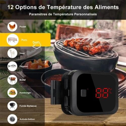 Inkbird Digital BBQ Steak Kitchen Food Thermometer IBT-2X with Case for Grill Oven Food Meat Cooking Alarm Timer Measuring Tools