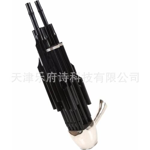 Sheng reedpipe professional folk musical instrument