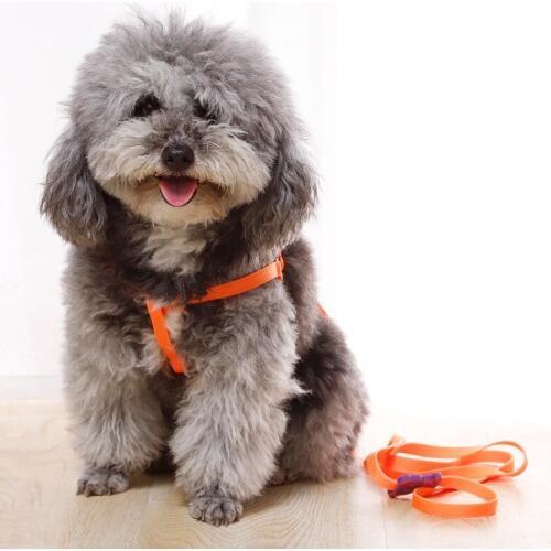 Supplies Cats Small Dog Leash Shih Tzu Accessories Running Leash Rope For Dog Harnais Chat Nylon Cat Harness And Leash Set