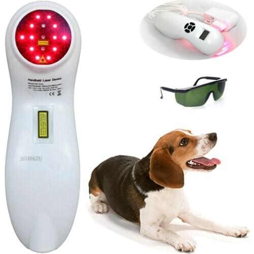 808nm Veterinary Use LLLT Cold Laser Pain Relief Machine for Pets Animals Wound Healing