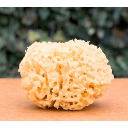 Natural Sea Wool Sponge Replacement Dead Skin Remover Exfoliating Massager Pouf Cleaning Shower Foam Body Facial Washing Sponge