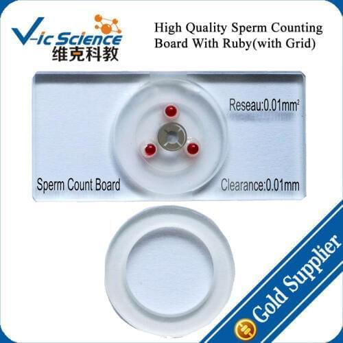 Sperm Count Chamber With Grid