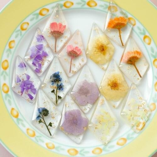 Botanical garden series natural dried flowers into diamond earrings pendants hairpin patches DIY handmade jewelry accessories