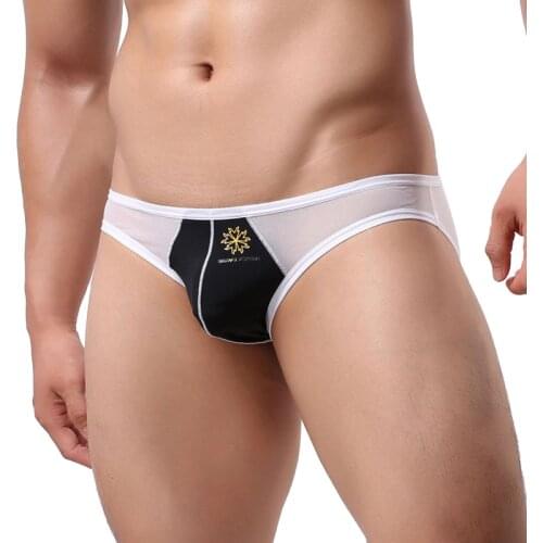 Sexy Mens Hollow Underwear Briefs Mens Mesh U Pouch Underpants Hombre Panties