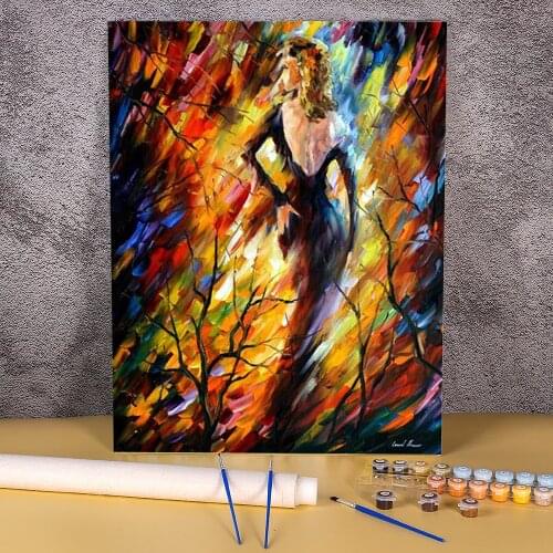 Queen Fire Painting By Numbers Set Acrylic Paints 50*70 Picture By Numbers Photo Wall Decoration Crafts For Handicraft