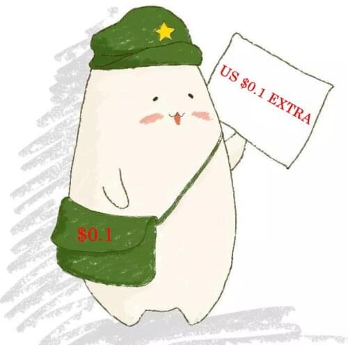 The Additional extra Cost For Shipping cost/$0.1 Shipping Fee