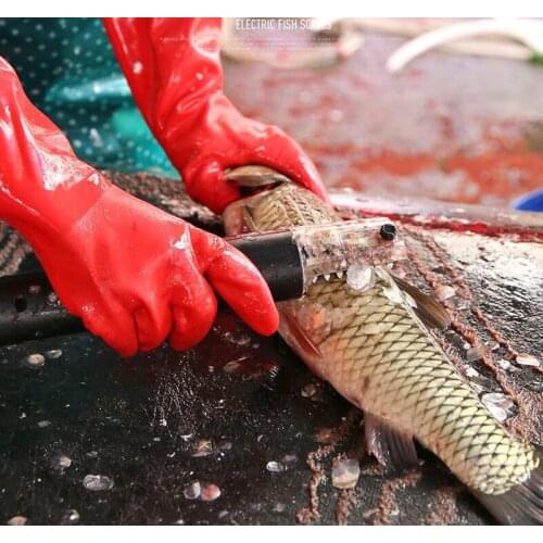 100-250V Electric scraping fish scale machine Rechargeable fish planer scaler