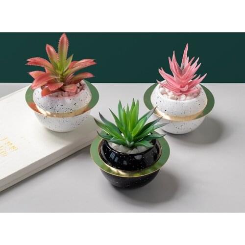 Simulation Of Succulent Plants Potted Colorful Mini For Garden Home Office Decoration Desktop Decoration Flower Pot Decoration