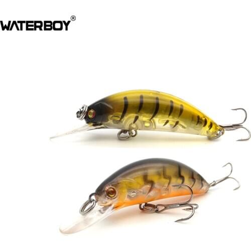 WATERBOY Mini Minnow Fishing Lure 5cm 2.0in 4g 0.1oz Lifelike Crankbaits Topwater Floating Lures Swimming Swimbait for Bass