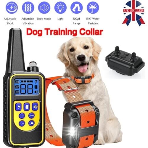 Электроошейники для собак OLOEY China At AliExpress