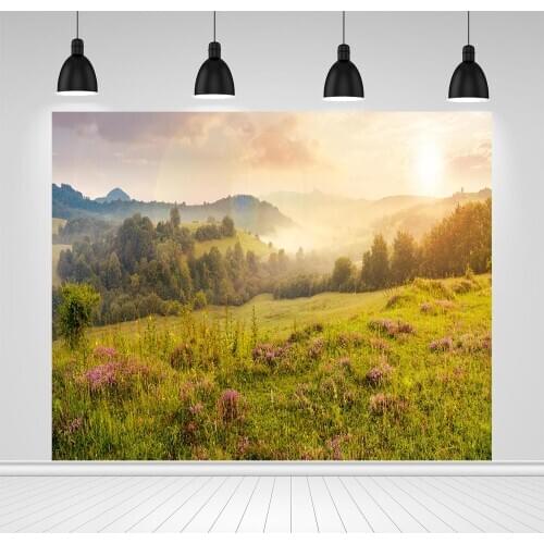 Scopiso Autumn Hillside Photography Background Light Sunshine Clouds Yellow Grass Baby Portrait Backdrop Photo Studio Photocall