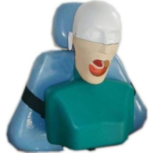 Dentistry Dental Manikin With Torso Preparation Practice Head for Teaching and Learning