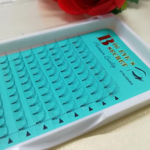 5D Volume lashes Russian Volume Premade Fans 5D Individual Clouds Eyelashe Extensions 0.07 0.10 C D Curl False Mink Eye Lashes