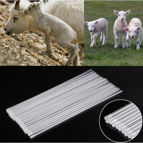 20Pcs Pet Canine Dog Goat Sheep Artificial Insemination Breed Whelp Catheter Rod E15B