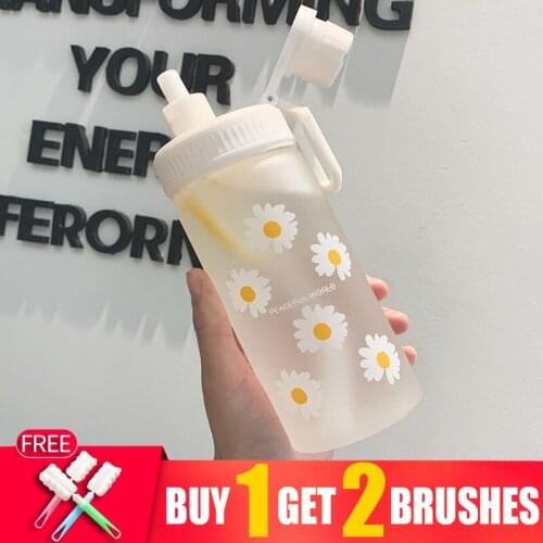 506ml Sports Reusable Transparent Water Bottles Bpa Free Straw Frosted Fashion My Water Bottle With Straw Infuser Waterbottle