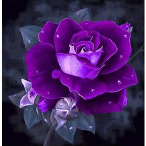 Needlework Diy Diamond Painting Diamond Embroidery Square Pasted Decorative Wall Stickers Cross Stitch Crafts Purple Rose FZ505