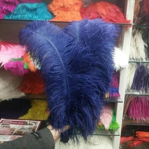 Hot Sales 100pcs Gorgeous Navy 22-24inches/55-60cm DIY jewelry Christmas Halloween Decoration Natural ostrich feathers