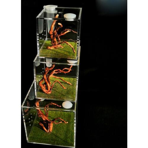 Mini Acrylic Landscaping Feeding Box Ant Feeding Box Active Area Spider Beetle Insect Praying Mantis Ant Farm