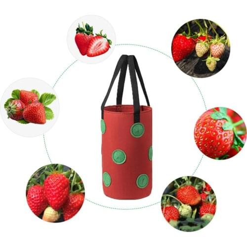 3 Gallon Non-woven Cloth Strawberry Planting Growing Bag Hanging Plant Pot Pouch Hanging Grow Planter Bags Plant Pot Container
