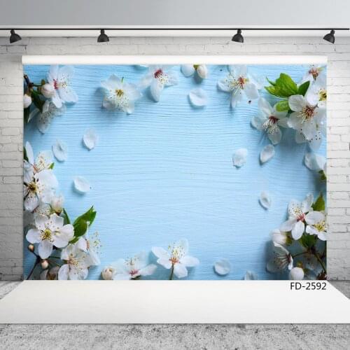 INS style light blue board white petals beautiful, Chinese style model according to the background of advertising photography