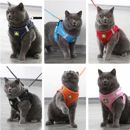 Outdoor Walking Puppy Small Dogs Harnesses Vest Leash Set Reflective Dog Cat Vest Harness Pet Leash Set