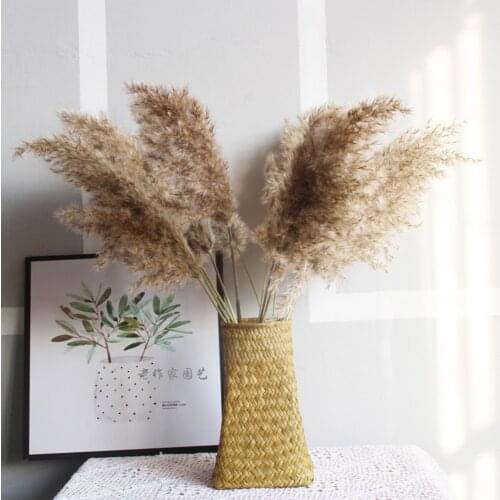 Dried Light Color Wedding Flowers Bunch Natural Pampas Grass Flower Beautiful Reed Christmas Home Wedding Decoration Phragmites