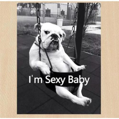 Street Icon Women Men Clothes 250mm Dog I'm Sexy Baby Iron on transfer Printing Patches for clothing T-shirt Patch DIY Stickers