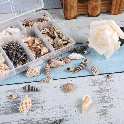 1Box Mixed Natural Real Sea Shells Mini Conch Corn Screw Material Silicone Epoxy Resin Mold Filling For DIY Jewelry Making Craft