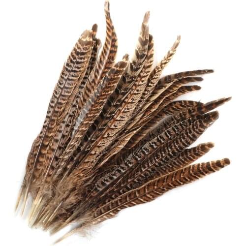 10PCS Natural Pheasant Feather Tail 25-30cm for Wedding DIY Crafts Fly Tying Feathers Accessories Pary Decoration Chicken Plumes