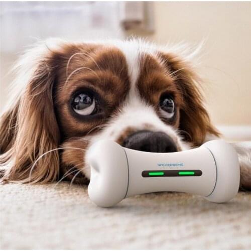 2021 Newly Dog Toy Interactive Emotions WICKEDBONE Smart Pet Bone APP Control Pet Silicone Wheels