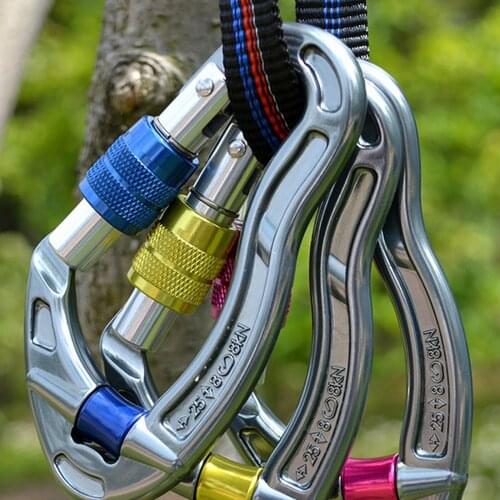 25KN Professional Climbing Carabiner D Shape Aluminum Safety Lock Outdoor Climbing Mountaineering Equipment highaltitude work