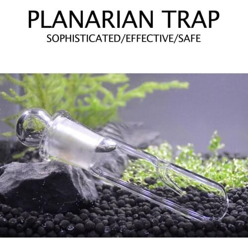 Aquarium Worm Trap Fish Tank Pest Catch Trap Glass Clear Leech Catcher For Planarian Flatworm Aquarium Aquatic Cleaner