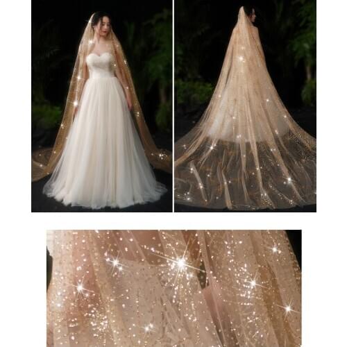 Gold Glitter Lace Veils Bridal Veil 3M long For Wedding Dress Veil