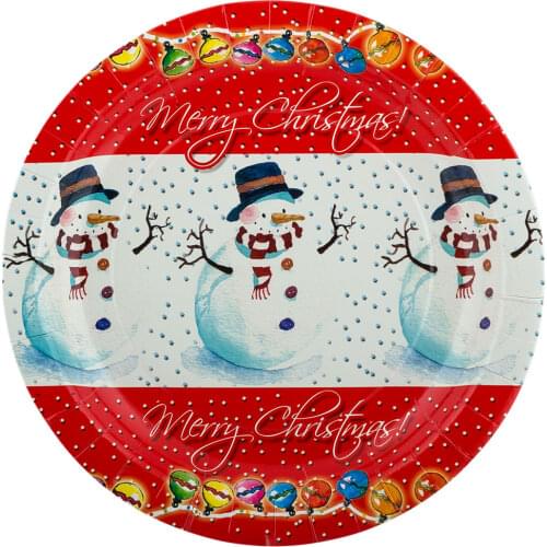 BOOMZEE Disposable Tableware For Holidays