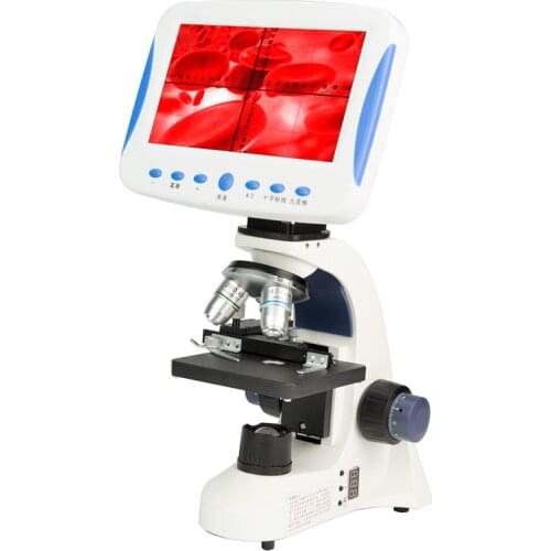 Professional 2000X Digital Compound Biological Microscope Sperm Observation LED School Laboratory with Screen Measuring Line