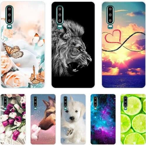 Case for Huawei P30 Pro Case Silicone TPU Phone Back Cover On for Huawei P30 Pro VOG-L29 ELE-L29 P 30 Lite coque bumper