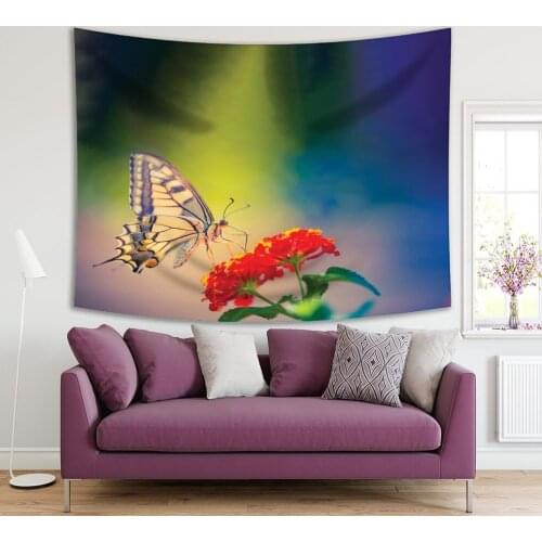 Tapestry Butterfly on Flower Relaxing Nature Meadow with Sun Rays Summer Wildlife Colorful Photo Blue Yellow Red green