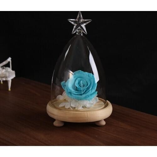 10*15cm Conical Star Top Glass Dome Vase Home Decorative Diameter=10cm Height=15cmDifferent Base Glass Cover Friend Gift Wedding
