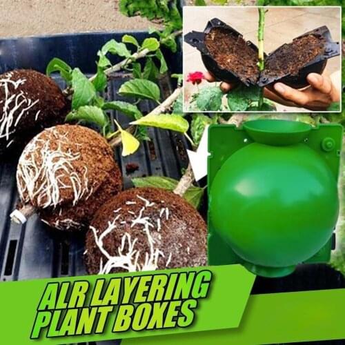 Plant Root Growing Box High Pressure Gardening Plant Breeding Ball Rooting Root Case Box Grafting For Garden Plant Z8F0